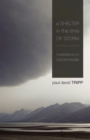 A Shelter in the Time of Storm - eBook