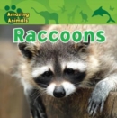 Raccoons - eBook