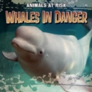 Whales in Danger - eBook