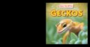 Geckos - eBook