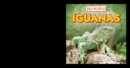 Iguanas - eBook