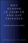 Why Europe Is Lesbian and Gay Friendly (and Why America Never Will Be) - eBook
