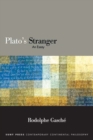 Plato's Stranger : An Essay - eBook