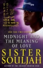 Midnight and the Meaning of Love - Book