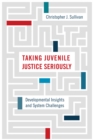 Taking Juvenile Justice Seriously : Developmental Insights and System Challenges - eBook