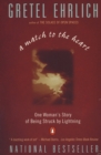 Match to the Heart - eBook