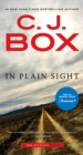 In Plain Sight - eBook
