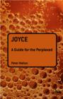 Joyce: A Guide for the Perplexed - eBook