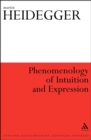 Phenomenology of Intuition and Expression - eBook