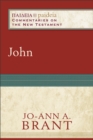 John (Paideia: Commentaries on the New Testament) - eBook