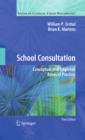 School Consultation : Conceptual and Empirical Bases of Practice - eBook