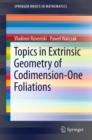 Topics in Extrinsic Geometry of Codimension-One Foliations - eBook
