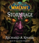 World of Warcraft: Stormrage - eAudiobook