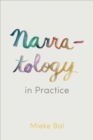 Narratology in Practice - Book
