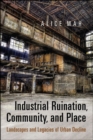 Industrial Ruination, Community and Place : Landscapes and Legacies of Urban Decline - eBook