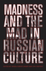 Madness and the Mad in Russian Culture - eBook