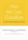 Not the Last Goodbye : On Life, Death, Healing, and Cancer - eBook