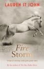 Fire Storm : Book 3 - Book