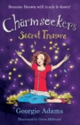 The Secret Treasure : Book 8 - eBook