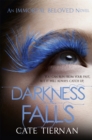 Darkness Falls (Immortal Beloved Book Two) - Book