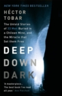 Deep Down Dark: The Untold Stories of 33 Men Buried in a Chilean Mine, and the Miracle that Set them Free - Book