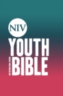 NIV Youth Bible Hardback - Book