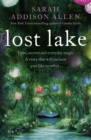 Lost Lake - Book