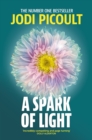 A Spark of Light : The heart-stopping must-read from No.1 Sunday Times Bestseller! - eBook