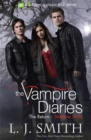 The Vampire Diaries: Shadow Souls : Book 6 - Book