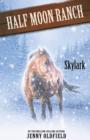Skylark : Book 17 - eBook
