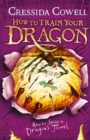 How to Train Your Dragon: How to Seize a Dragon's Jewel : Book 10 - Book