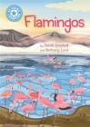 Reading Champion: Flamingos : Independent Reading Non-Fiction Blue 4 - Book