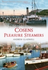 Cosens Pleasure Steamers - eBook
