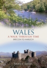 Wales A Walk Through Time - Brecon to Harlech - eBook