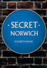 Secret Norwich - Book
