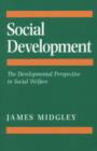 Social Development : The Developmental Perspective in Social Welfare - eBook