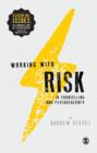 Working with Risk in Counselling and Psychotherapy - Book