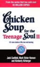Chicken Soup For The Teenage Soul II : 101 more stories of life, love and learning - eBook