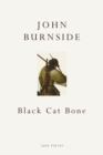Black Cat Bone - eBook