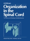 Organization in the Spinal Cord : The Anatomy and Physiology of Identified Neurones - eBook