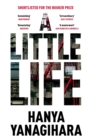 A Little Life : The Million-Copy Bestseller - Book