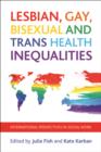 Lesbian, Gay, Bisexual and Trans Health Inequalities : International Perspectives in Social Work - eBook