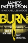 Burn : (Michael Bennett 7). Unbelievable reports of a murderous cult become terrifyingly real - eBook