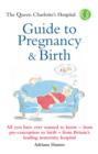 The Queen Charlotte's Hospital Guide to Pregnancy & Birth - eBook