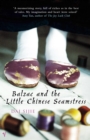 Balzac and the Little Chinese Seamstress - eBook