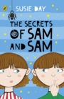 The Secrets of Sam and Sam - eBook