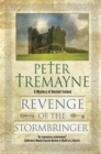 Revenge of the Stormbringer - eBook