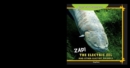 Zap! The Electric Eel and Other Electric Animals - eBook