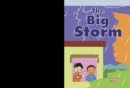 The Big Storm - eBook