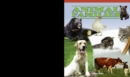 Animal Families - eBook